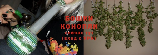 гидра Заводоуковск
