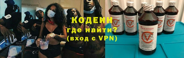 прущие грибы Заволжск