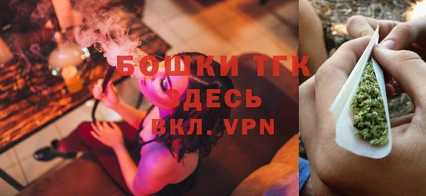 прущие грибы Заволжск