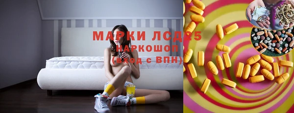 гидра Заводоуковск