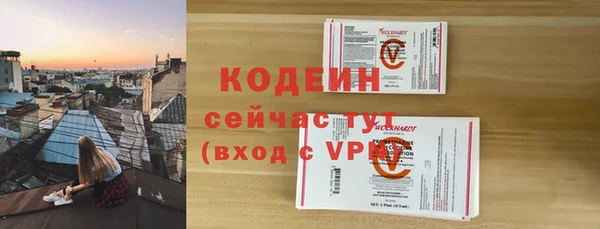 гидра Заводоуковск