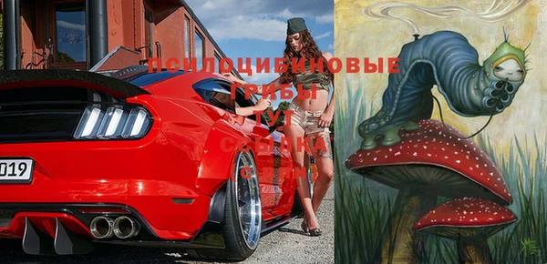 прущие грибы Заволжск