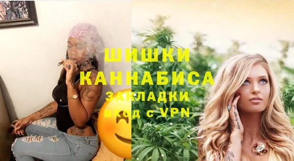 гидра Заводоуковск