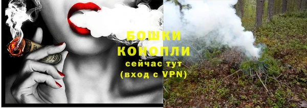 прущие грибы Заволжск